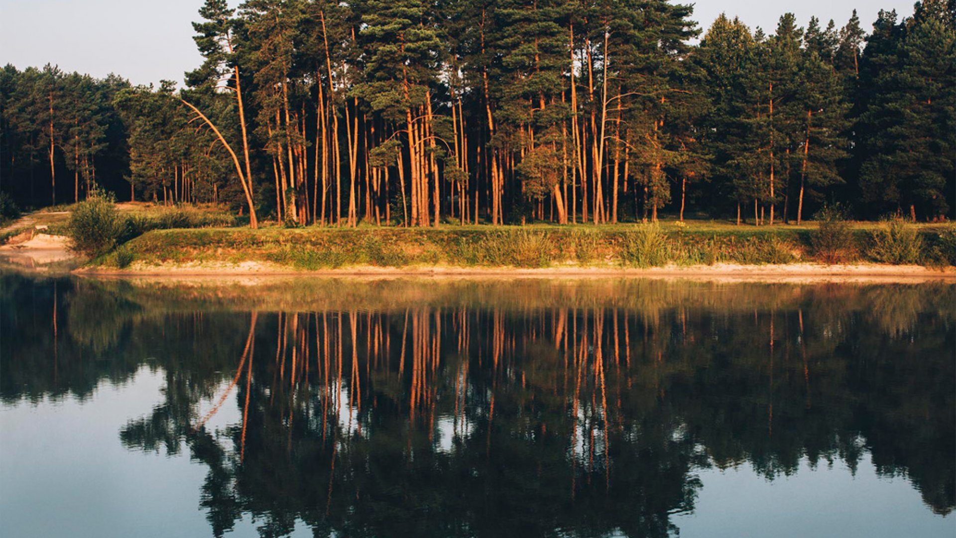 Panorama osiedla – zielona okolica, dogodny dojazd